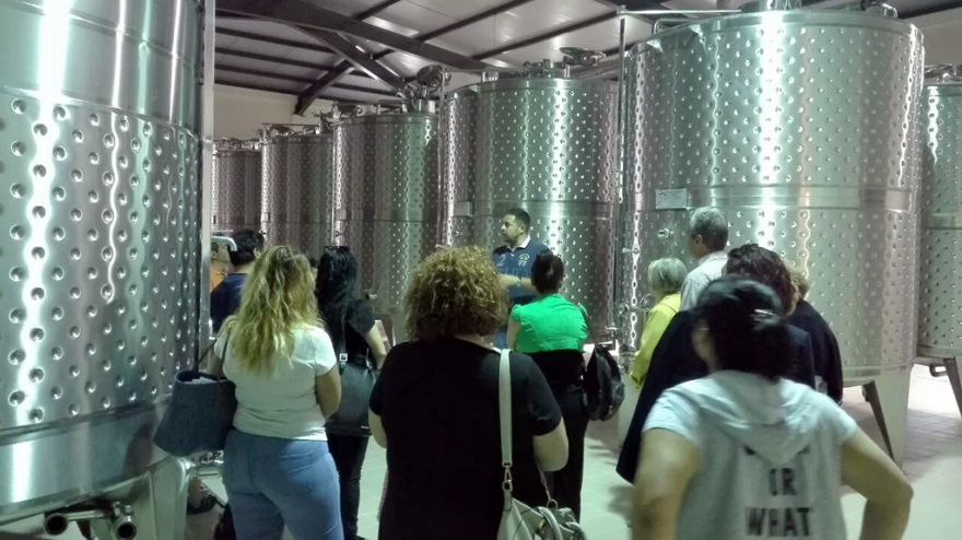 &Epsilon;&pi;ί&sigma;&kappa;&epsilon;&psi;&eta; &sigma;&tau;&omicron; &omicron;&iota;&nu;&omicron;&pi;&omicron;&iota;&epsilon;ί&omicron; &Pi;&alpha;&upsilon;&lambda;ί&delta;&eta;