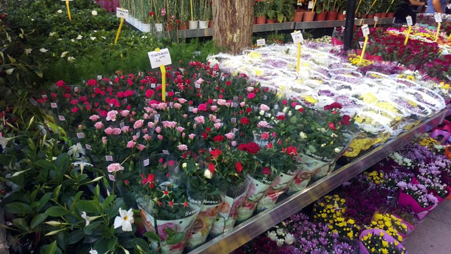 &Epsilon;&pi;ί&sigma;&kappa;&epsilon;&psi;&eta; &sigma;&tau;&eta;&nu; &alpha;&nu;&theta;&omicron;&kappa;&omicron;&mu;&iota;&kappa;ή έ&kappa;&theta;&epsilon;&sigma;&eta; &tau;&eta;&sigmaf; &Delta;&rho;ά&mu;&alpha;&sigmaf;